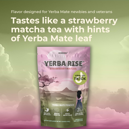 Yerba Mate Tea Powder