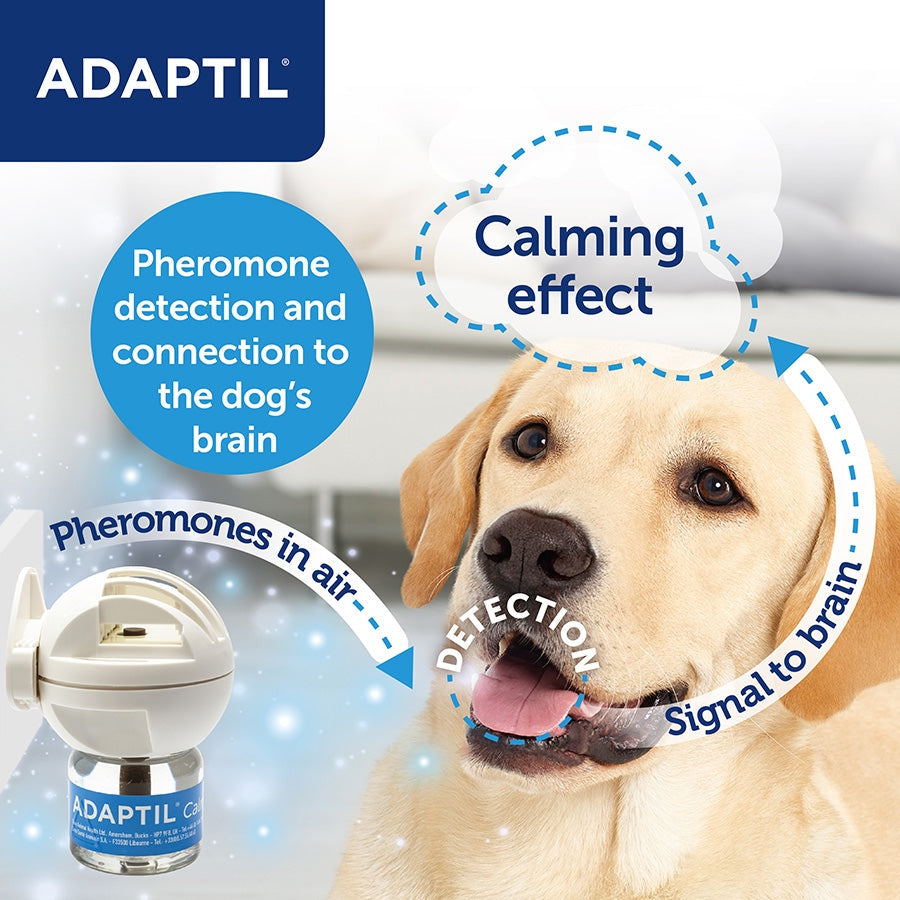 🐶 CalmPet™ Pheromone Diffuser