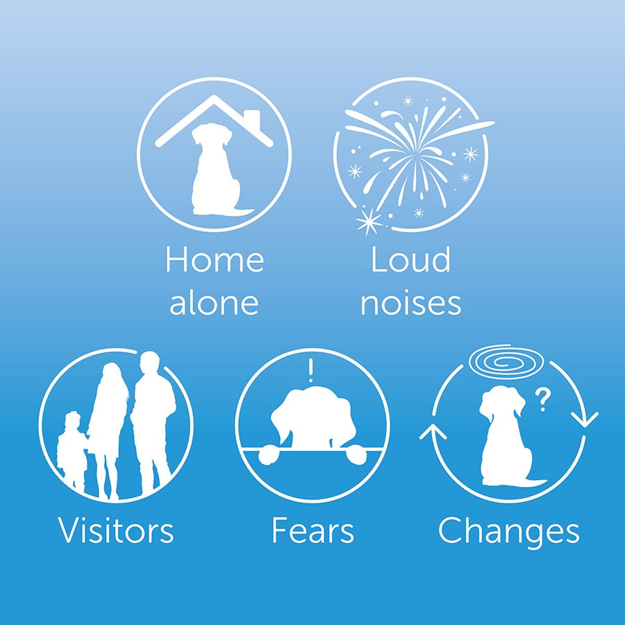 🐶 CalmPet™ Pheromone Diffuser