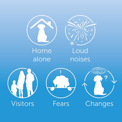 🐶 CalmPet™ Pheromone Diffuser