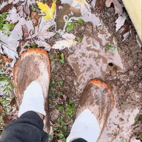 BareSole™ Barefoot Shoes That Let You Feel